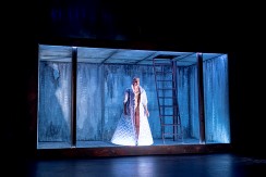 stuart 1 (Andere) (2)